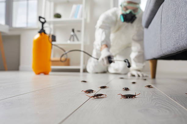 Commercial Kitchen Cockroach Control in Glen Head